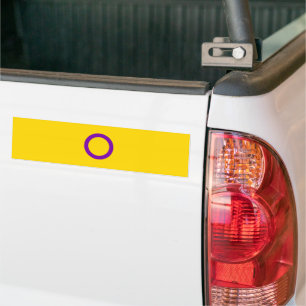Intersex Pride Flag Bumper Sticker