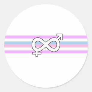 Intersex Pride Flag Classic Round Sticker
