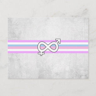 Intersex Pride Flag Postcard
