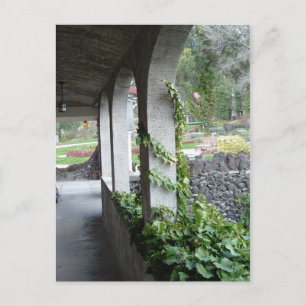 Intertwined Postcard