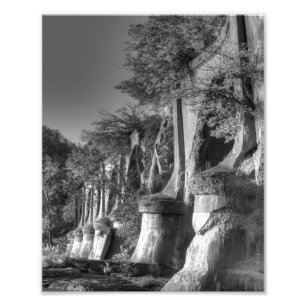 Interurban Bridge Photo Print