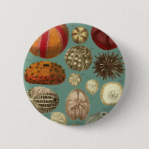 Intestina et Mollusca Linnaei 6 Cm Round Badge