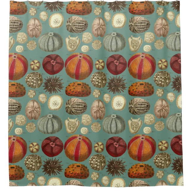 Intestina et Mollusca Linnaei Shower Curtain (Front)