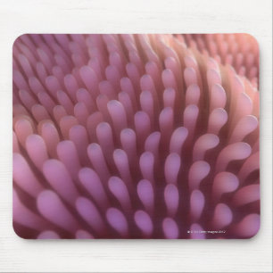Intestinal Villi Mouse Mat