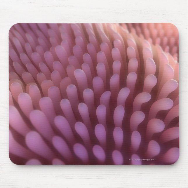 Intestinal Villi Mouse Mat (Front)
