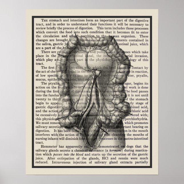 Intestines Anatomy Art Print #8 Medical Decor (Front)