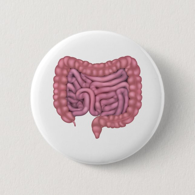 Intestines Gut Human Digestive System 6 Cm Round Badge (Front)