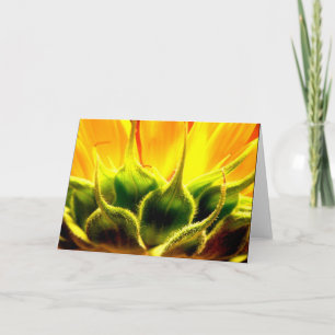 Intimacy Thank You Card