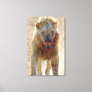 Intimidation Canvas Print