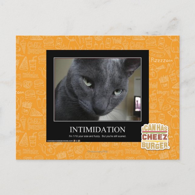 Intimidation Postcard (Front)