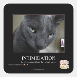 Intimidation Square Sticker