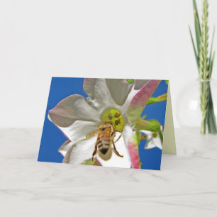 Into the Centre Thank You Card