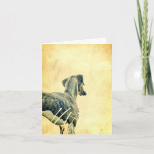 Into the Distance - Azawakh Greeting Card