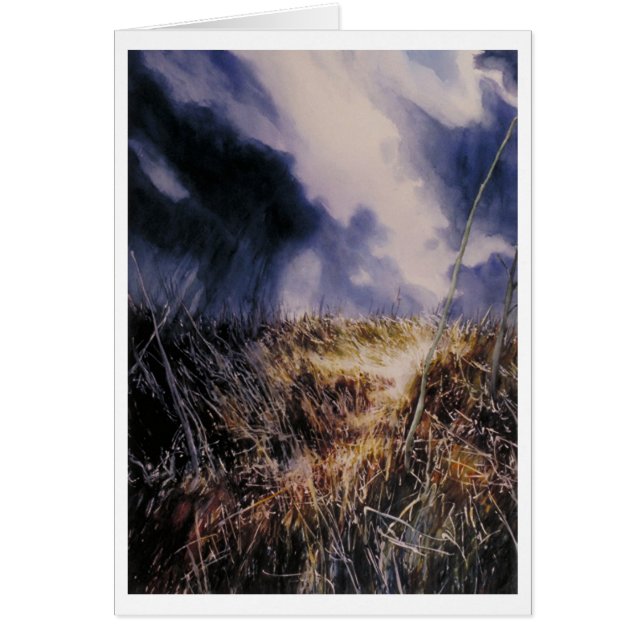 Into the Field (Front)