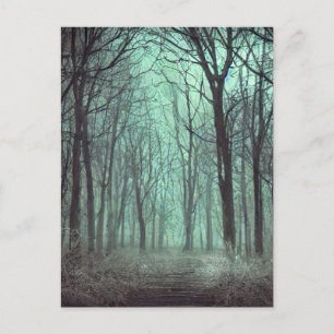 Into the Haunted Woods Postcard