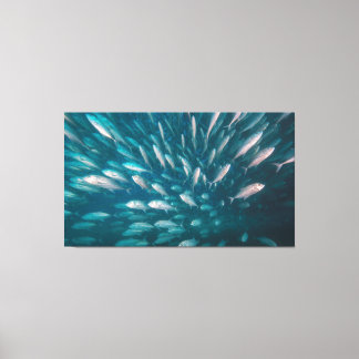 Into The Jacks Canvas Print