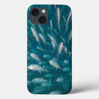 Into The Jacks iPhone 13 Case