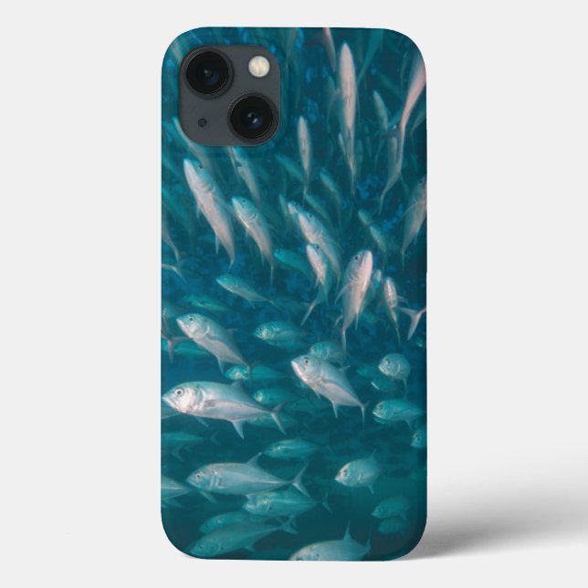 Into The Jacks Case-Mate iPhone Case (Back)