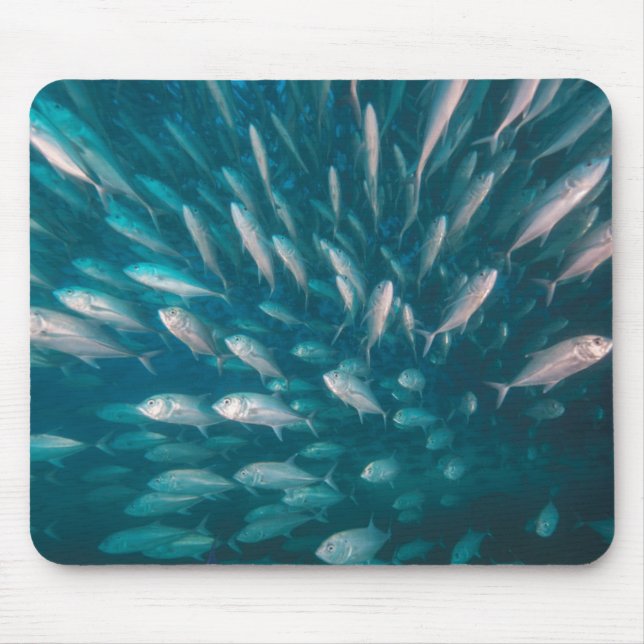 Into The Jacks Mouse Mat (Front)