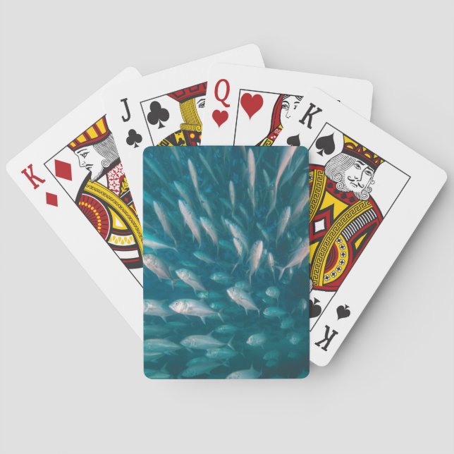 Into The Jacks Playing Cards (Back)