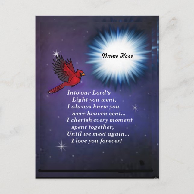 Into the light cardinal postcard (Front)