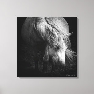 Into the Light - Dartmoor Pony, fine art Canvas Print