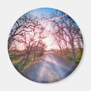 Into the Light Magnet