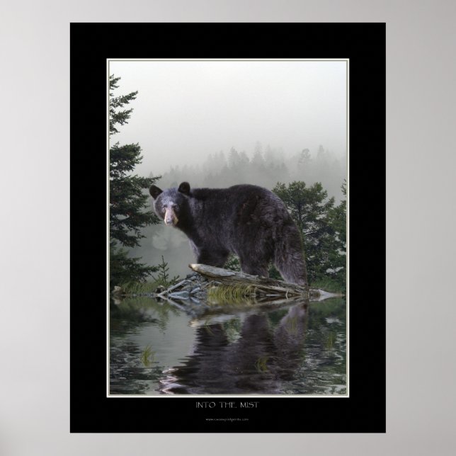 "INTO THE MIST" Black Bear Poster (Front)