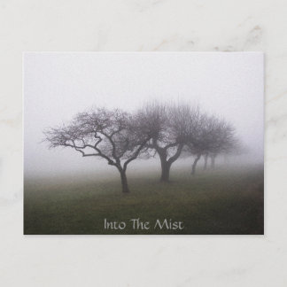 Into The Mist Postcard