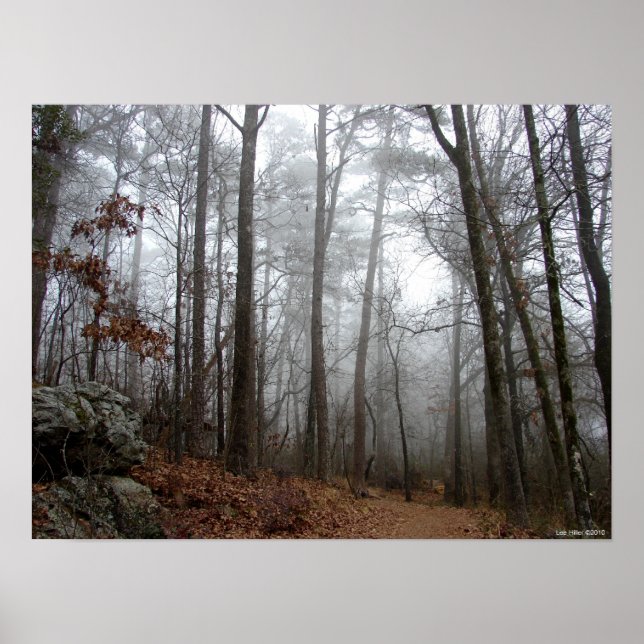 Into the Winter Forest Fog Poster (Front)