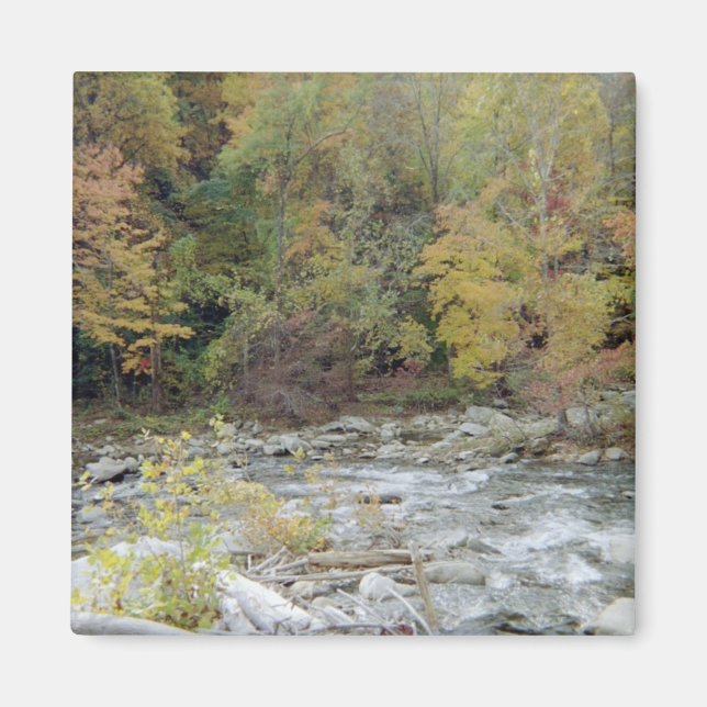 Into the Woods Magnet (Front)