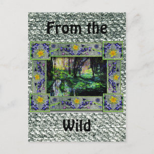 Into the Woods Postcard