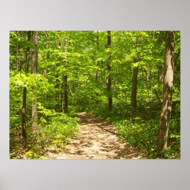 Into the woods poster (Front)