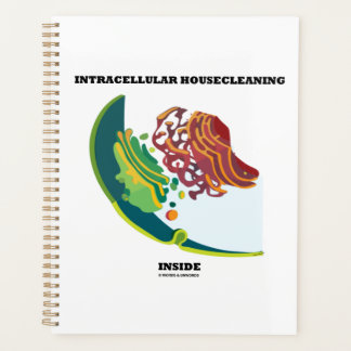 Intracellular Housecleaning Inside Endomembrane Planner