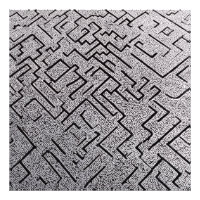 Intricate Black & White Labyrinth Maze