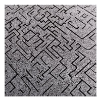 Intricate Black & White Labyrinth Maze