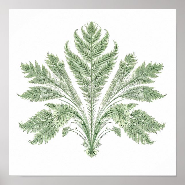 Intricate Botanical Symmetry: Fractal Flora Poster (Front)