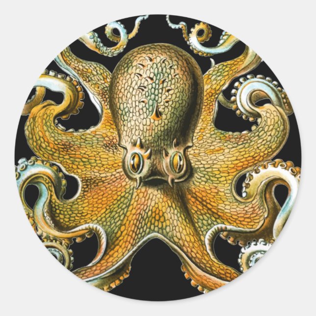 Intricate Golden Octopus Art Classic Round Sticker (Front)