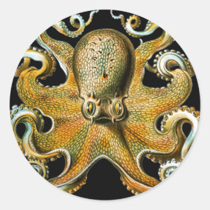Intricate Golden Octopus Art Classic Round Sticker
