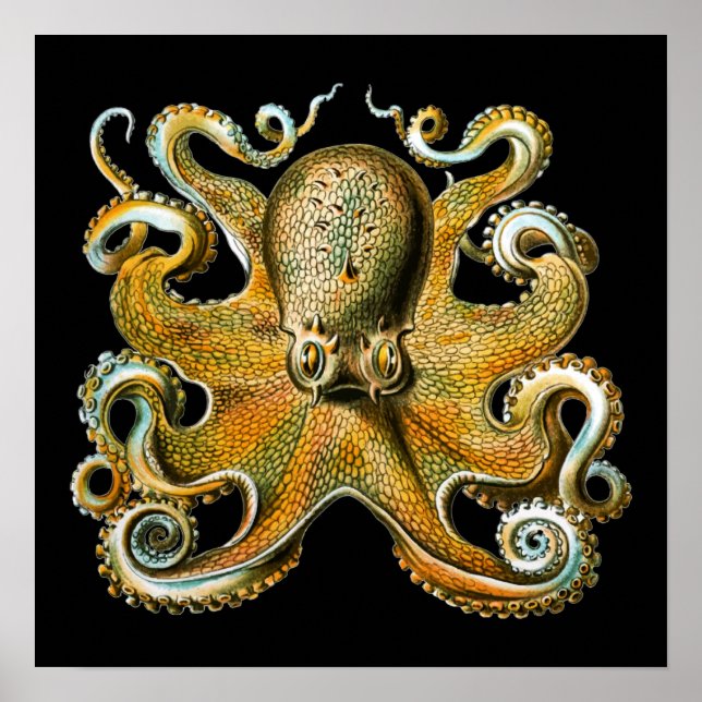 Intricate Golden Octopus Art Poster (Front)