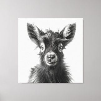 Intriguing Monochromatic Harmonious Baby Goat Canvas Print