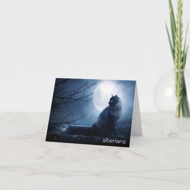 Intriguing Siberian Cat at Nighttime Card (Front)