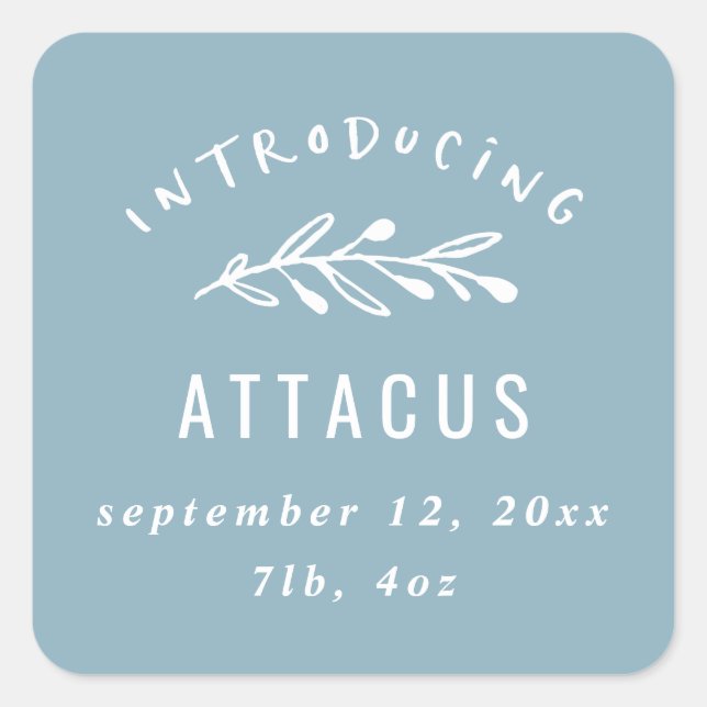 Introducing branch birth announcement square sticker (Front)