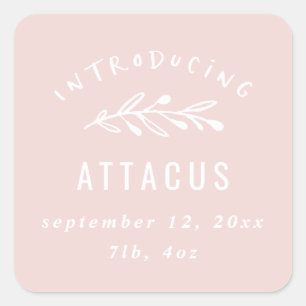 Introducing branch birth announcement square sticker