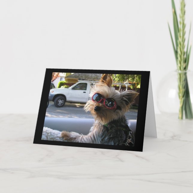 Introducing:JACK! Card (Front)