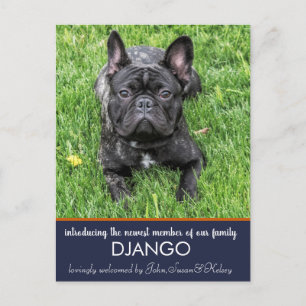 "Introducing" our New Dog Announcement Postcard