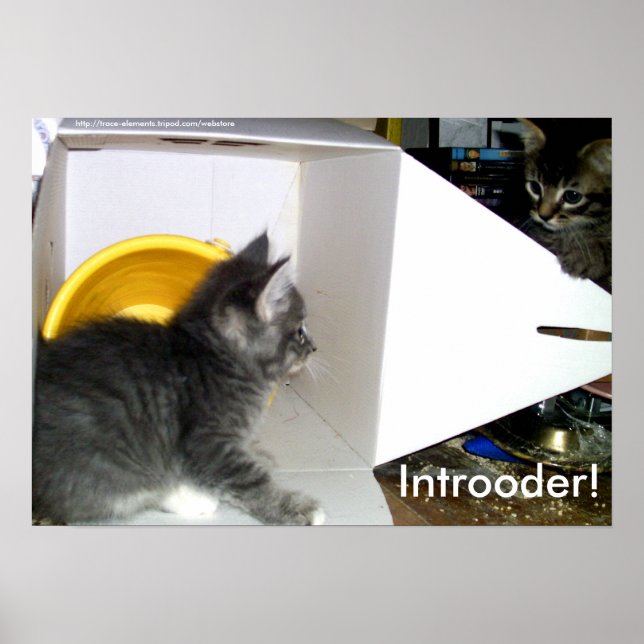 Introoder! Kitten poster (Front)