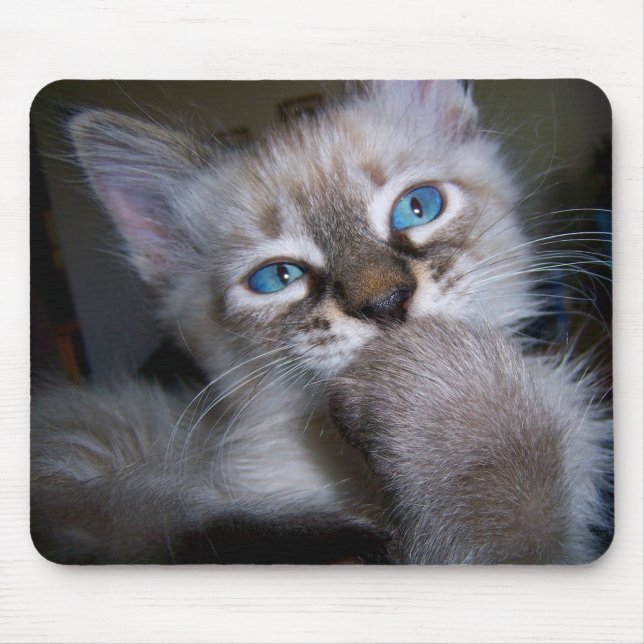 Introspective Thinker Blue-Eyed Kitten Mousepad (Front)