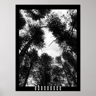 Intuition Poster