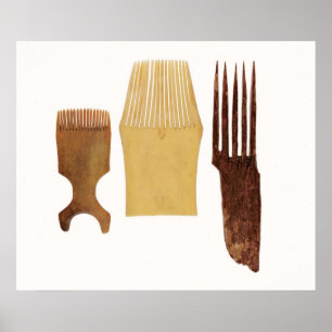 Inuit combs, from Northwest American coast Poster